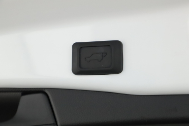 Toyota RAV 4 - 2024