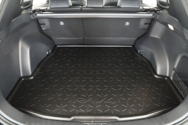 Toyota RAV 4 - 2024