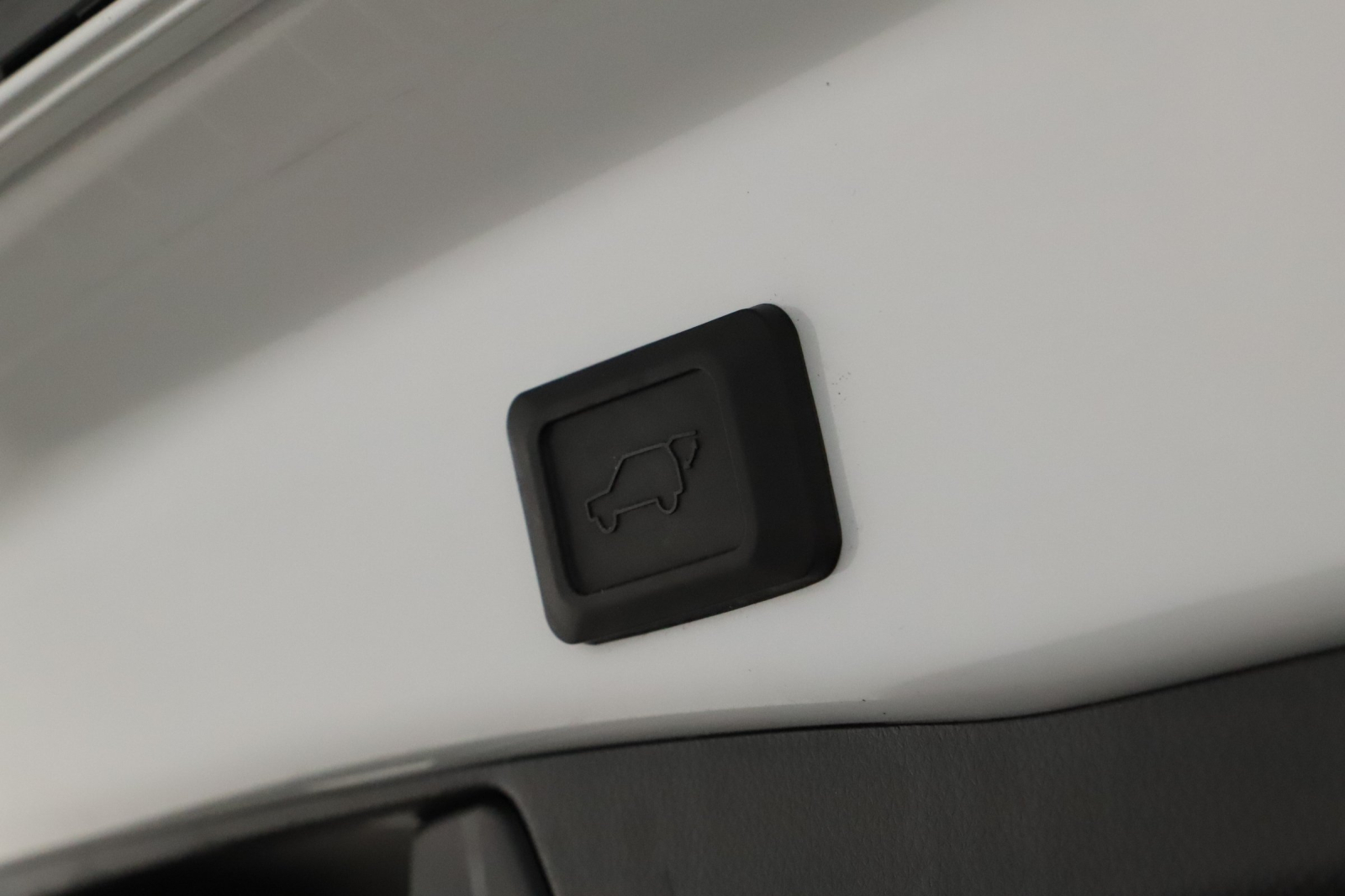 Toyota RAV 4 - 2024