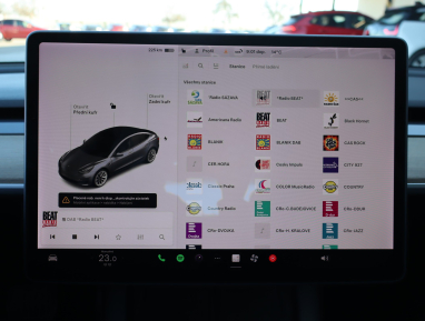Tesla Model 3 - 2021