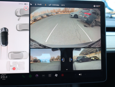 Tesla Model 3 - 2021