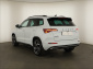 Škoda Karoq, 2025