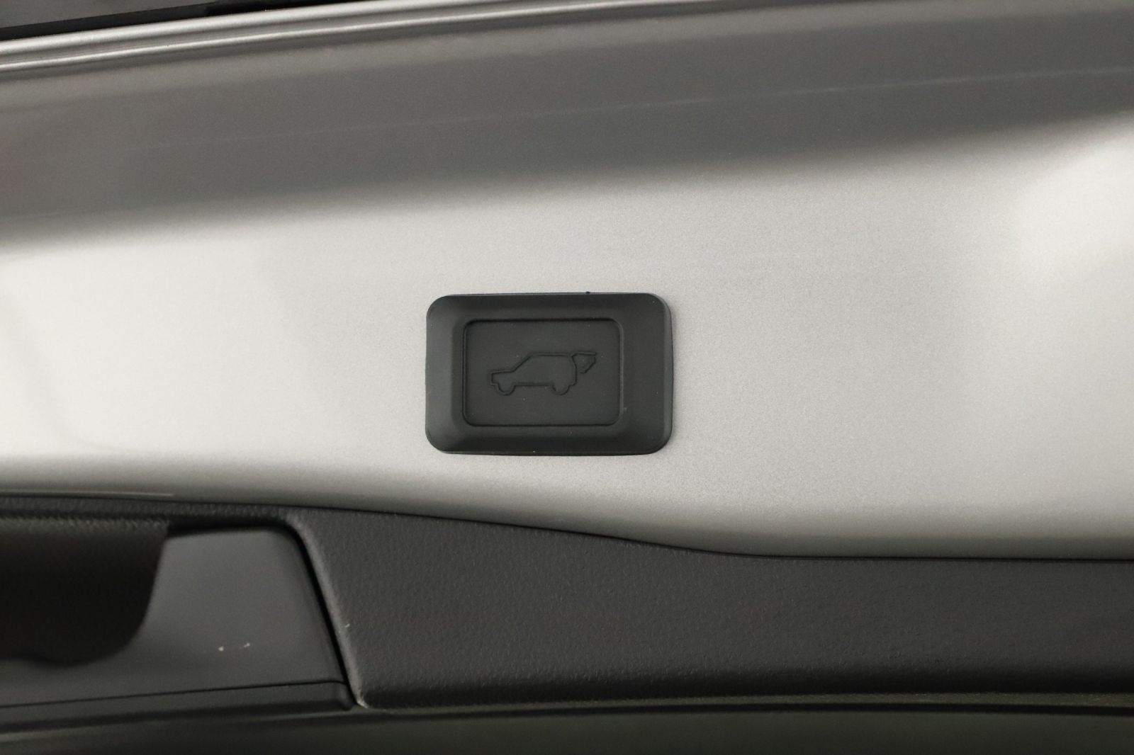 Toyota RAV 4 - 2024