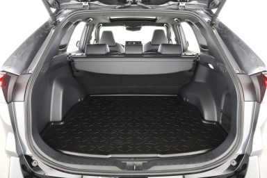 Toyota RAV 4 - 2024
