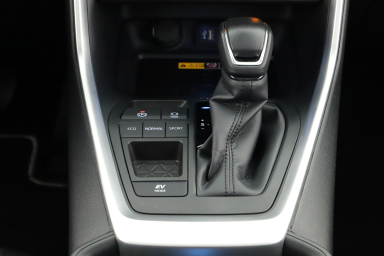 Toyota RAV 4 - 2024