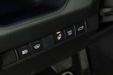 Toyota RAV 4 - 2024