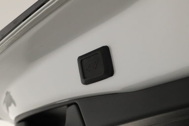 Toyota RAV 4 - 2024