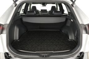 Toyota RAV 4 - 2024