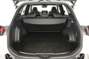 Toyota RAV 4 - 2024