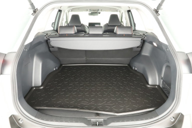 Toyota RAV 4 - 2024