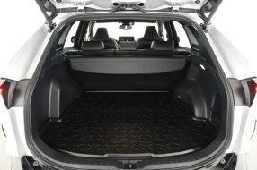 Toyota RAV 4 - 2024