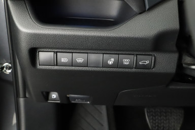 Toyota RAV 4 - 2024
