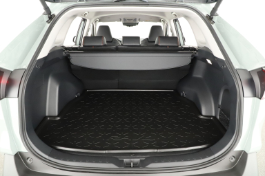 Toyota RAV 4 - 2024