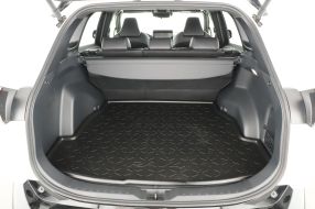 Toyota RAV 4 - 2024