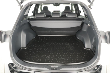 Toyota RAV 4 - 2024