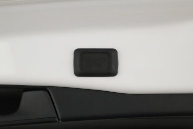 Toyota RAV 4 - 2024