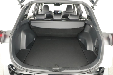 Toyota RAV 4 - 2024
