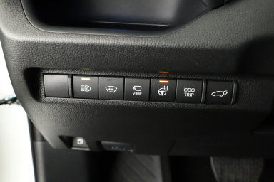 Toyota RAV 4 - 2024