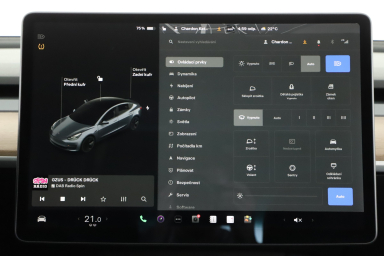 Tesla Model 3 - 2021