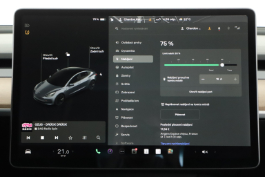 Tesla Model 3 - 2021