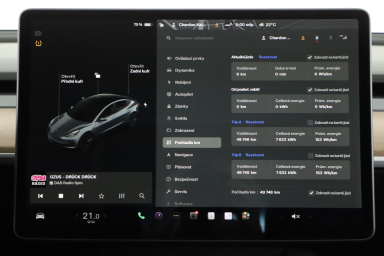Tesla Model 3 - 2021