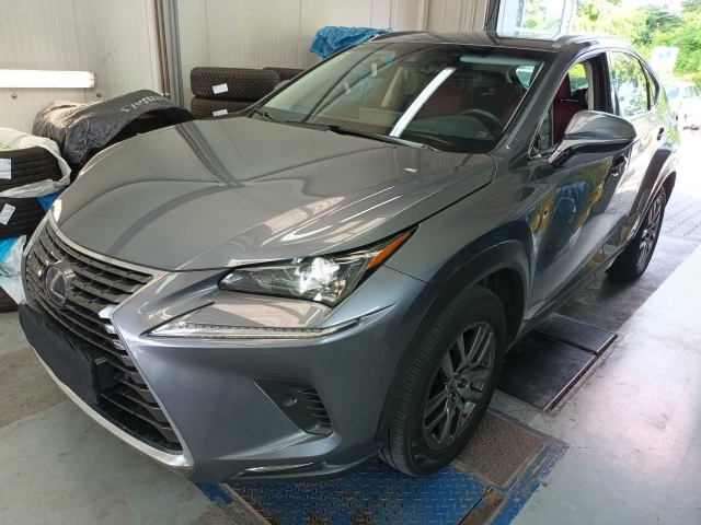 Lexus NX 2019