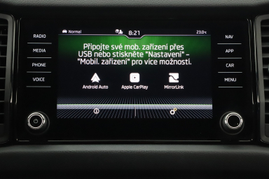 Škoda Kodiaq - 2022