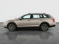 Škoda Octavia Scout, 2019
