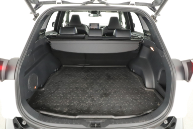 Toyota RAV 4 - 2021