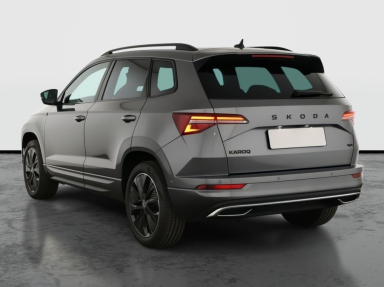 Škoda Karoq - 2025