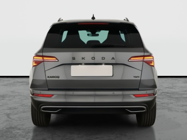 Škoda Karoq - 2025