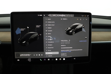 Tesla Model 3 - 2021