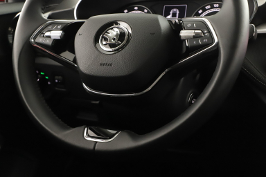 Škoda Fabia - 2023