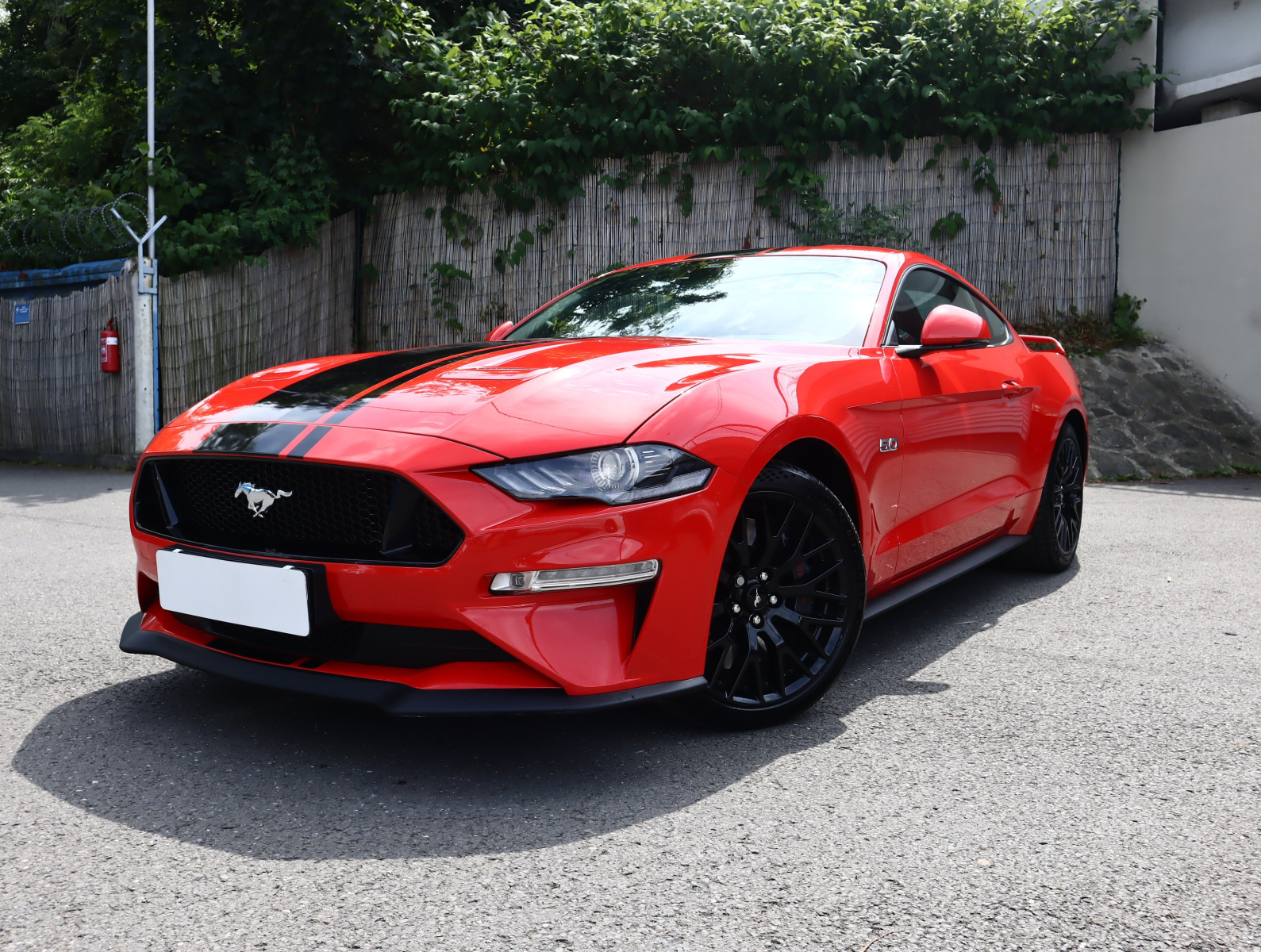Ford Mustang - 2022