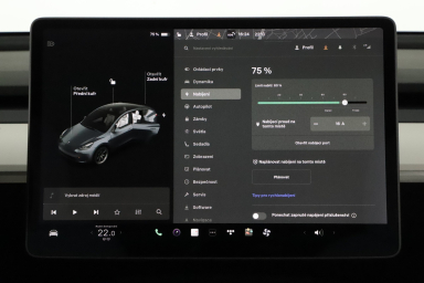 Tesla Model Y - 2021