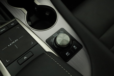 Lexus RX - 2020