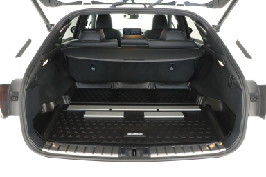 Lexus RX - 2020