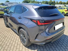 Lexus NX - 2023