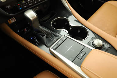 Lexus RX - 2022