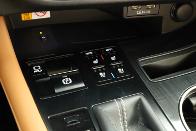 Lexus RX - 2022