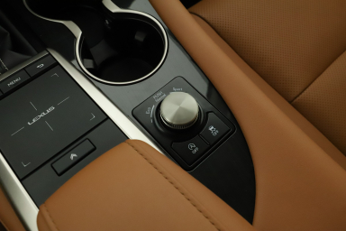 Lexus RX - 2022