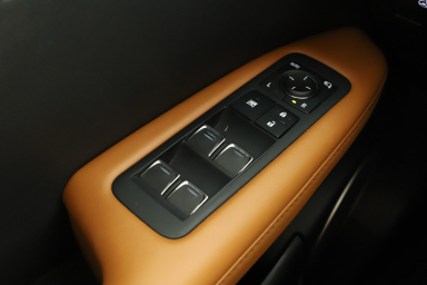 Lexus RX - 2022