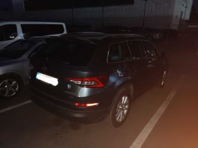 Skoda Kodiaq - 2017