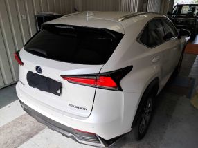 Lexus NX - 2019