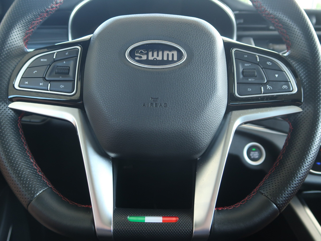 SWM G01F
