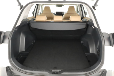 Toyota RAV 4 - 2024