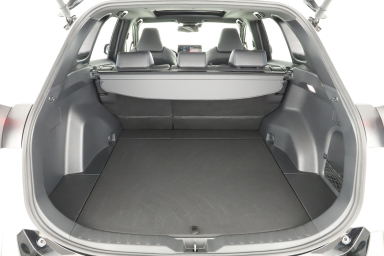 Toyota RAV 4 - 2024