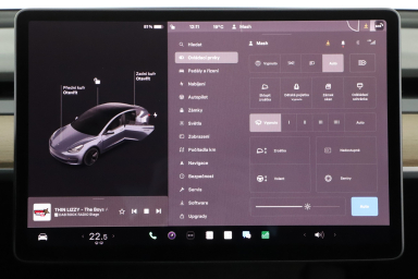 Tesla Model 3 - 2021