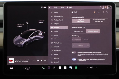 Tesla Model 3 - 2021