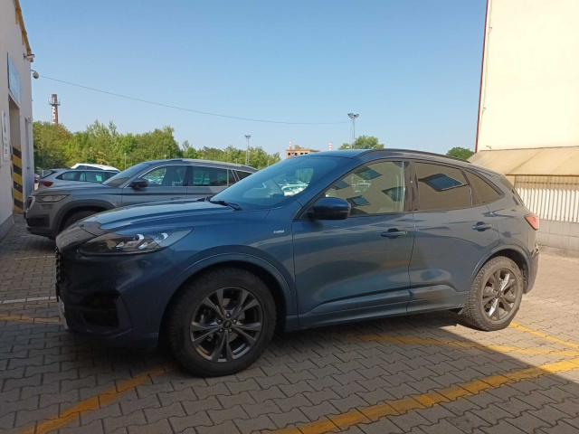 Ford Kuga 2022